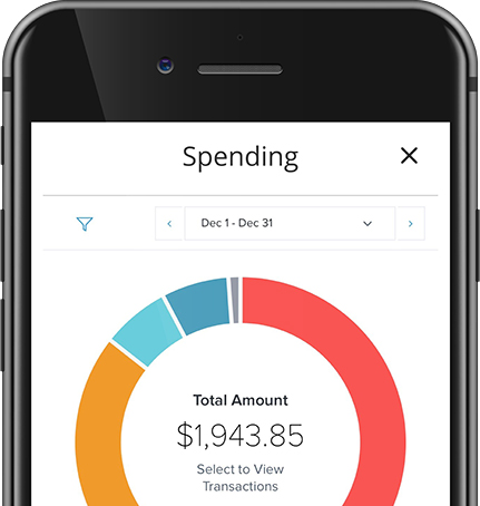 Personal Financial Management Tool Spending Screen Shot